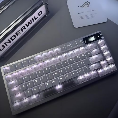 暴力熊键帽支持魔导士75夜魔98he