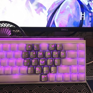 蝴蝶键帽爱心支持wooting80夜魔ev63made68rs7雨75win68ace68rs6