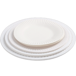 纸盘美术专用一次性白色纸盘绘画8寸6寸7寸幼儿园儿童手工diy材料彩色贴画手绘圆形蛋糕纸盘子新年大纸盘画画