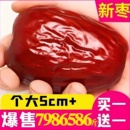新疆红枣特级和田大枣年货特产特大红枣子无核礼盒干果官方旗舰店