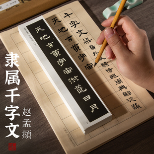 曹熙记赵孟頫隶书千字文书法字帖近距离临摹对临字帖卡片毛笔书法初学入门临帖练习原帖大小