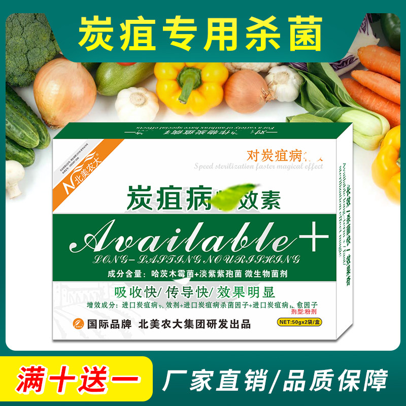 炭疽病特效素杀菌剂 辣椒草莓黄瓜炭疽病 蔬菜茄子番茄西瓜专用药