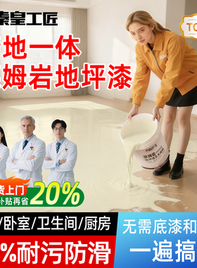 莱姆岩十合一地坪漆家用室内水泥地面专用环氧彩砂自流平地板油漆