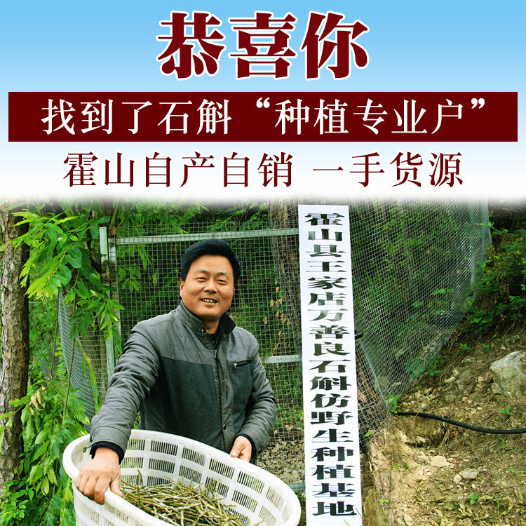 万善良 安徽霍山仿野生原生种铁皮石斛鲜条枫斗粉中药材滋补正品