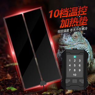 NOMOYPET诺摩爬宠饲养箱雨林缸饲养箱爬宠守宫仓鼠温控恒温加热垫