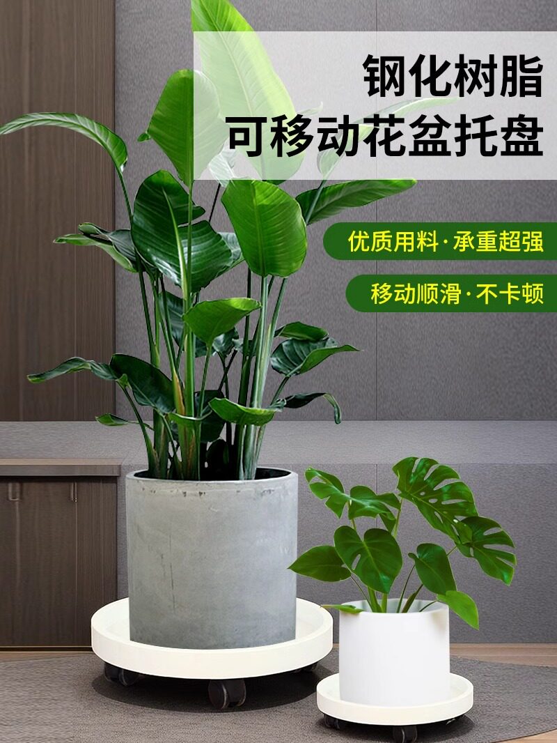 瓶装水储存架移动底座桶架饮用水桶架滑轮矿泉水纯净水托盘架