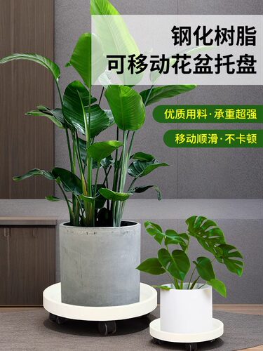 瓶装水储存架移动底座桶架饮用水桶架滑轮矿泉水纯净水托盘架
