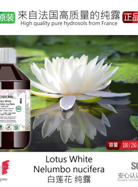 【白莲花纯露】花水 改善皮肤粗糙暗黄 舒缓滋养修复 天然爽肤水
