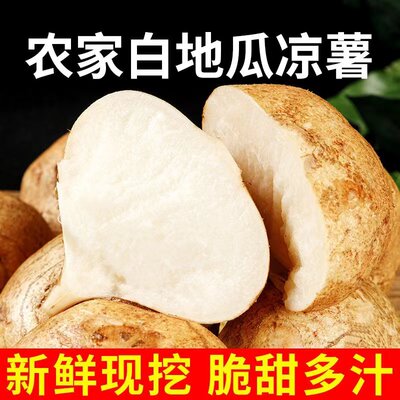 绮绮鲜新鲜凉薯脆甜白地瓜