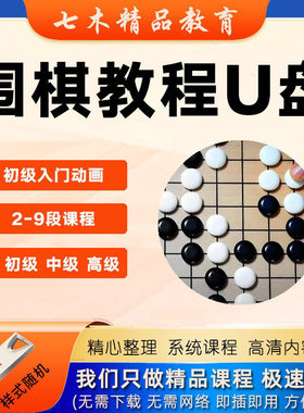 围棋课程U盘少儿童围棋启蒙入门视频教程2-9段零基础自学冲段优盘