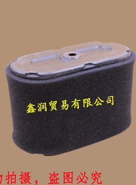 适用本田GXV340(K2)/270/390(K1)/11/13HP马力发动机空气滤清器芯