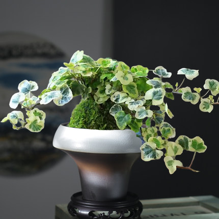 苔藓球蕨类陶瓷花盆简约绿色办公室纹理艺术喇叭型质感半手工桌面