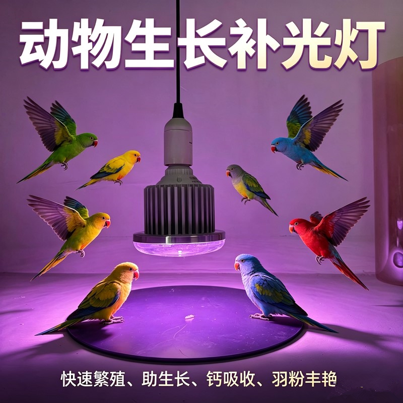 动物补光灯鸟类鹦鹉鸽子繁殖下蛋宠物猫狗禽畜乌龟养殖场用生长灯