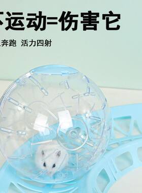 小仓鼠跑球户外运动玩具滚球金丝熊透明跑步球花枝鼠跑轮球笼用品