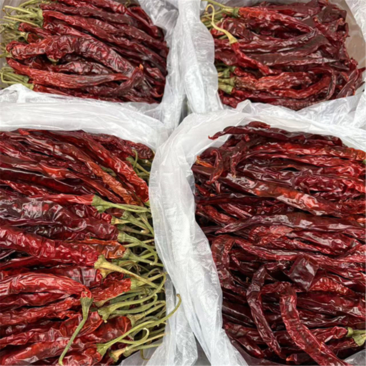 二荆条干辣椒微辣特香贵州黔东南本地土特产干辣椒长辣椒天柱海椒