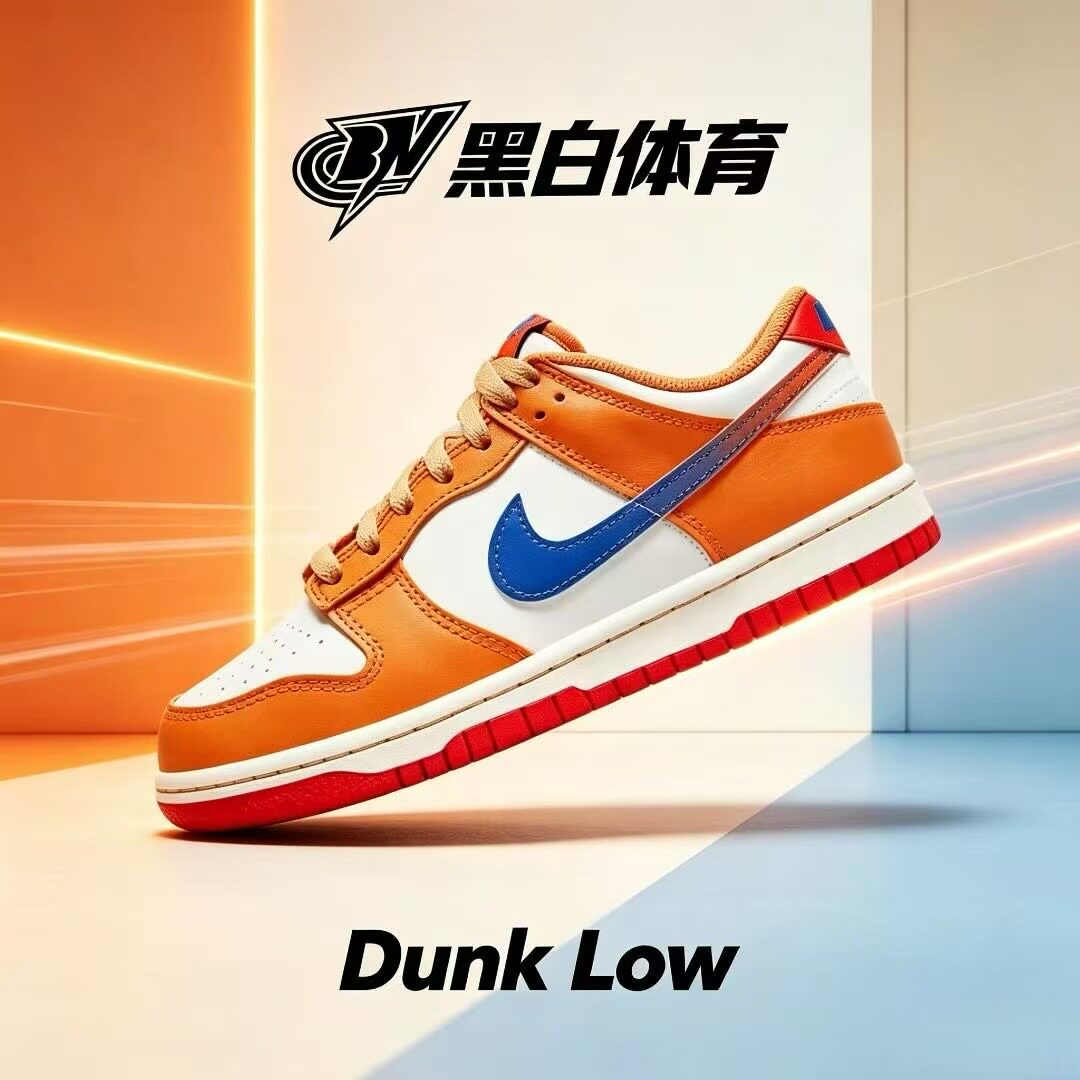 Nike耐克DunkLow女子低帮板鞋