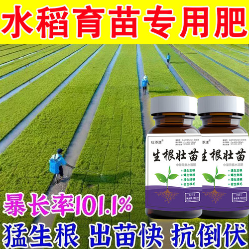 水稻育苗生根壮苗抗倒伏肥