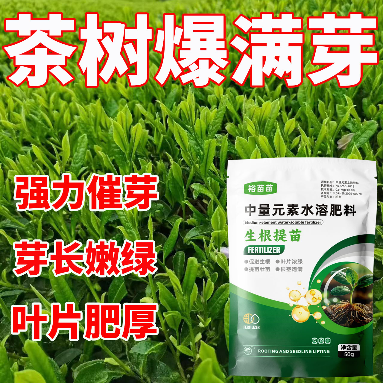 茶树生根壮苗爆根专用肥