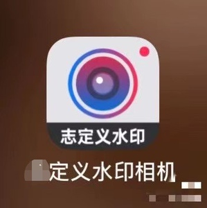 自定义/志定义/相机会员充值