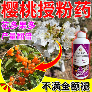 大樱桃授粉药车厘子授粉坐果灵保花保果防落果药樱桃授粉坐果精