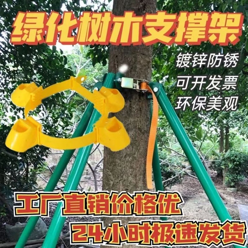 钢管树木支撑架园艺固定器园林防风大树支撑杆绿化苗木支架树撑