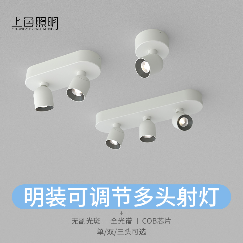 典金3代明装可调节多头射灯