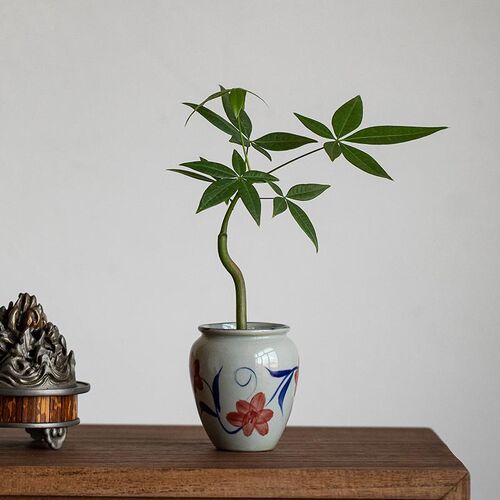 静艺花舍 发财树桌面小盆栽办公B室内桌面禅意风绿植好养花卉植物