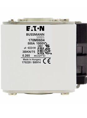 170M860f4 170M8605 170M8606170M8607全新供应 快速熔断器