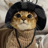 猫咪帽子夏季 狗狗遮阳防勒渔夫帽防脱露耳朵可调节扣盆帽溜猫神器