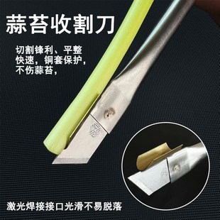 抽蒜苔剥蒜苔神j器打蒜苔收割刀划蒜苔快速剥剔蒜薹提摘蒜苔收割