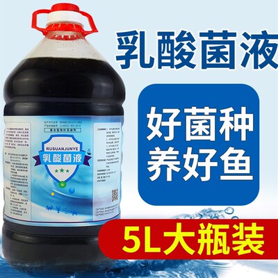 金伊特乳酸菌液水产养殖s降PH值调水净水诱食鱼虾蟹专用水产菌种