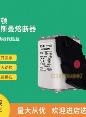 全新快速熔断器保险170M3988 170M3989 170M3990 170M3991