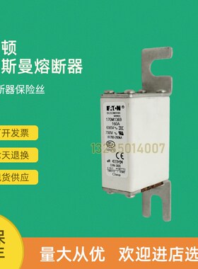 全新快速熔断器保险丝170M1362 170M1363 170M1364 U170M1364D