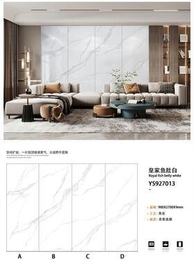 新款岩板背景墙900X2700客厅电视背H景墙玄关通道过道连纹奢石大