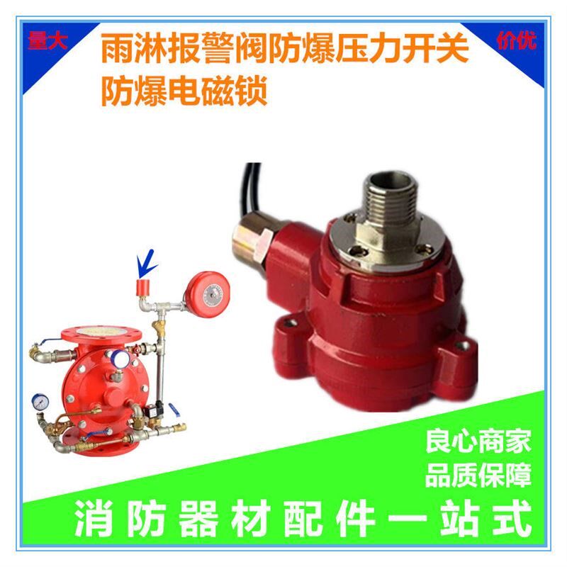 消防雨淋阀防爆压力开关防爆电磁阀湿式报警阀防爆压Z力开关配件