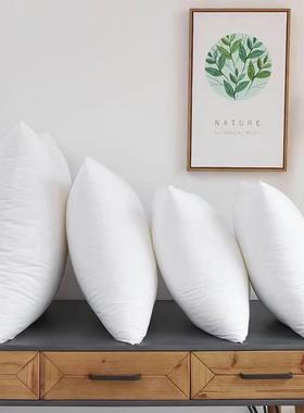 Throw Pillows Sofa Couch Cushion Decorative Pillow insert枕