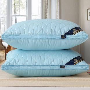 Pillow Healthy pillows feather velvet hotel pillow for bed