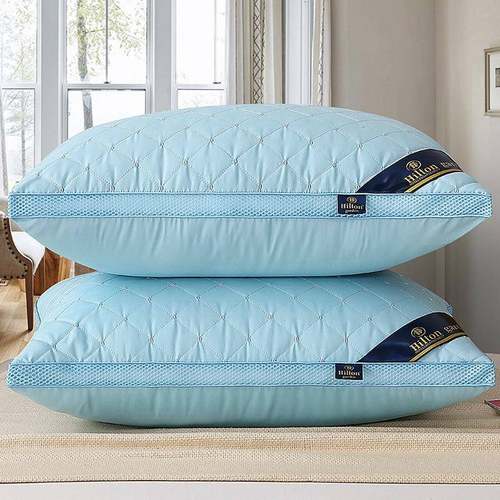 Pillow Healthy pillows feather velvet hotel pillow for bed