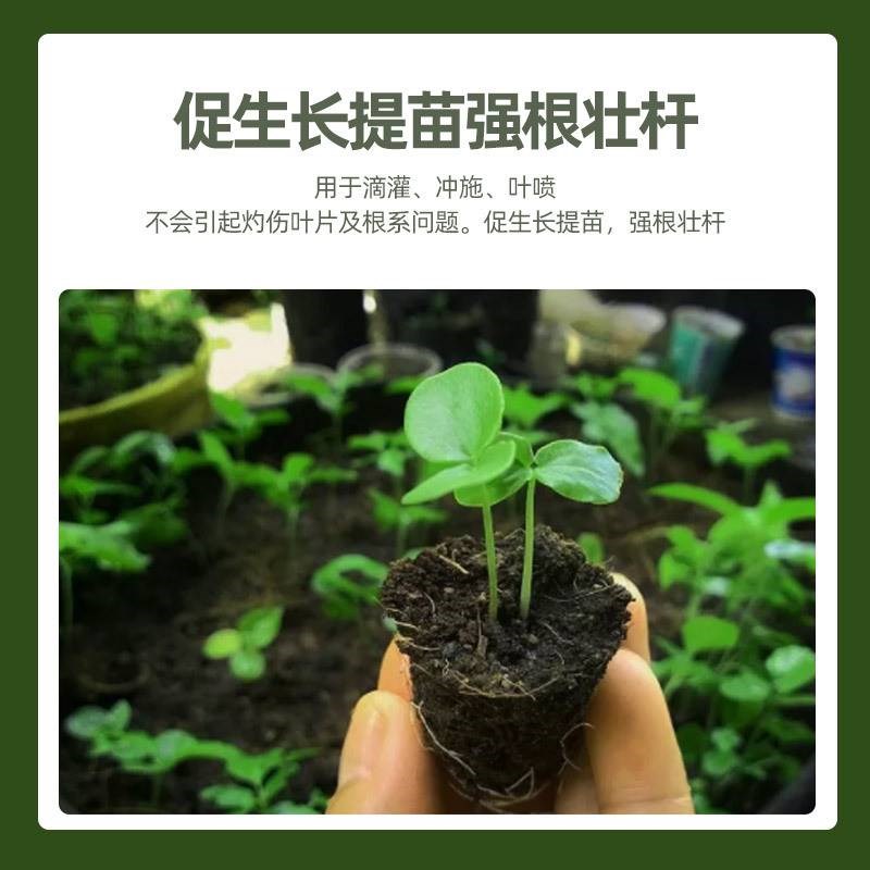 堪培拉液体缓释氮肥代替尿素玉米用F叶面肥果树蔬菜小麦水稻追肥