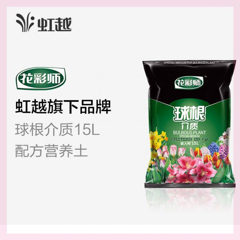 朱顶红种球包邮价格 朱顶红种球包邮图片 星期三