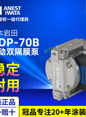 ANEST IWATA日本岩田双隔膜泵 DDP-70B喷漆泵浦 原装气动双隔膜泵