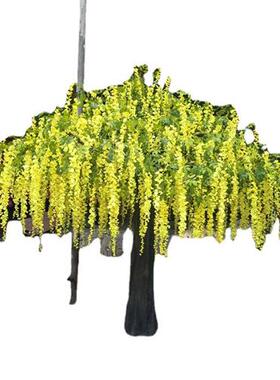 仿真大型樱花树仿真豆花假树仿真紫藤花树源头厂家生产婚庆装饰