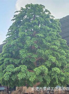 仿真水杉松树假绿植装饰自然景观大型仿真树厂家园林人造景玻璃钢