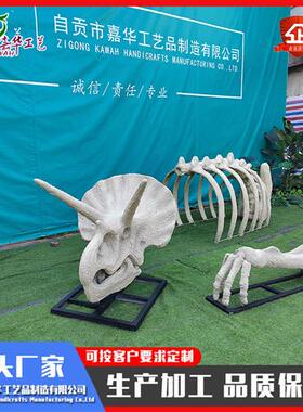 小型恐龙骨架仿真三角龙头骨肋骨化石摆件博物馆展览标本