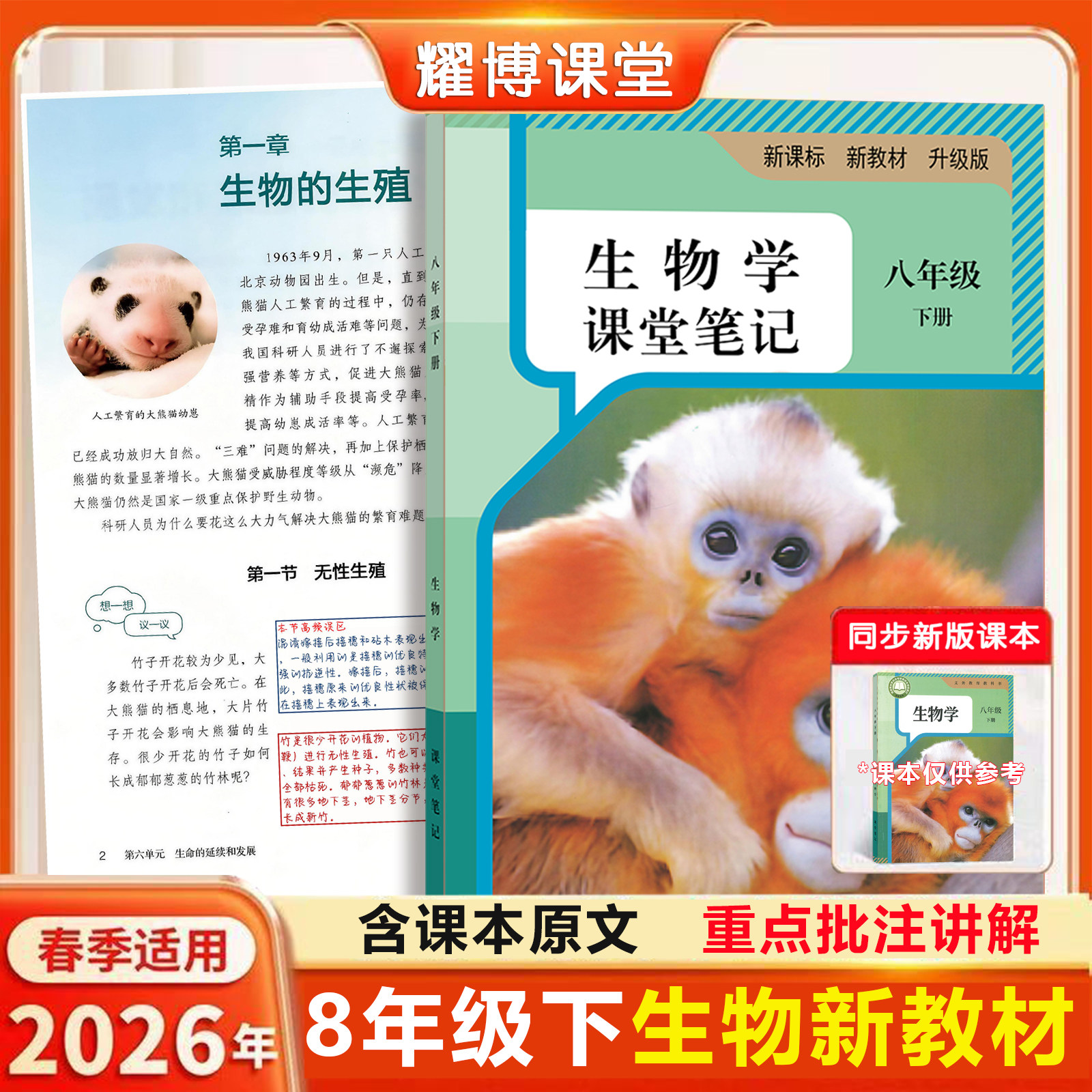 2026新版生物教材八上下人教版课堂笔记八上生物八年级上册生物人教版2026新版课堂笔记八年级生物上册人教版课堂笔记含详细讲解
