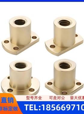 丝杆螺母MTSFR MTSFL 8 10 12 14 16 18 20 22 25 28 32 36 40 50