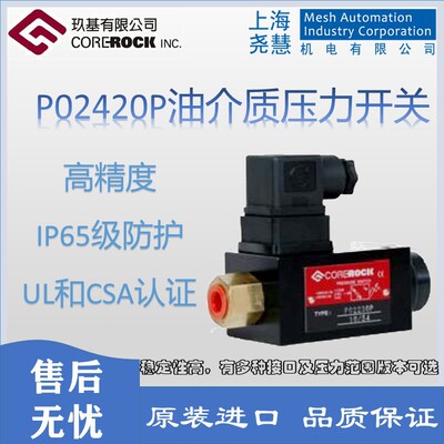 台湾Corerock压力开关 P02420P 六角扳手式 压力范围90-420bar