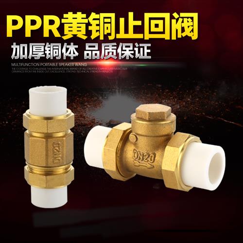 双热熔活接单向卧式逆止PPR黄铜止回阀自来水管4分6分1寸20 25 32