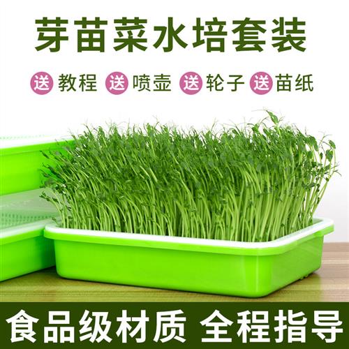 豆芽发芽盆无土栽培水培蔬菜设备豆苗芽苗菜育苗托盘种植架盆家用