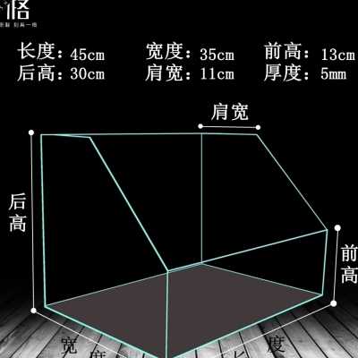 超白水陆鱼缸植物造景缸微景观斜口造景缸金晶玻璃两栖生态缸雨o